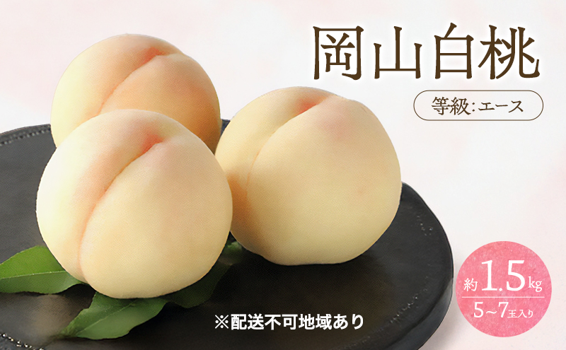 桃 2026年 先行予約 白桃 等級 エース 約1.5kg 5～7玉入り もも モモ 岡山 国産 フルーツ 果物 桃茂実苑