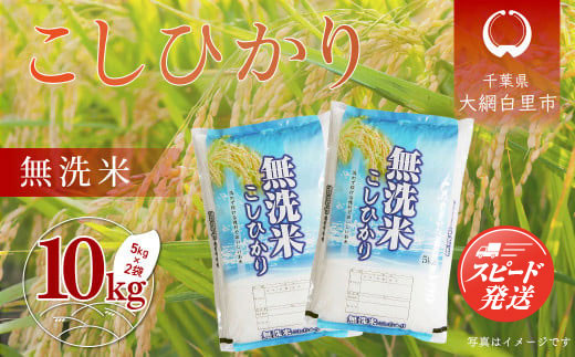 令和6年産 千葉県産「無洗米コシヒカリ」10kg（5kg×2袋） ふるさと納税 米 無洗米 コシヒカリ こしひかり 千葉県 大網白里市