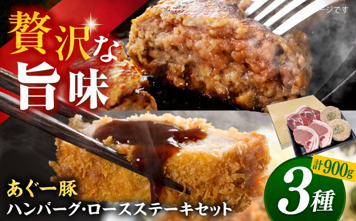 沖縄県産 あぐー豚 ハンバーグ・ステーキセット 計900g 豚 ハンバーグ ステーキ肉 冷凍 ギフト お取り寄せ 沖縄市 / お肉屋本店 [BCAZ004]