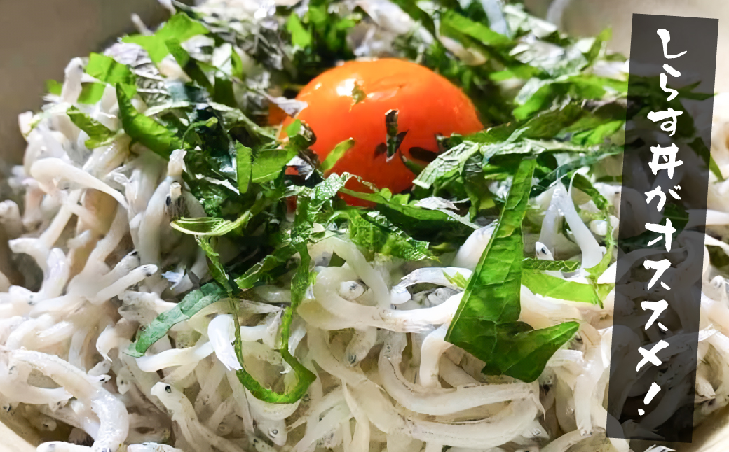 【訳あり】淡路島・藤本水産 しらす釜揚げ 業務用サイズ1kg入り　[訳アリ しらす 釜揚げしらす シラス 釜揚げシラス 訳アリ しらす 釜揚げしらす シラス 釜揚げシラス]