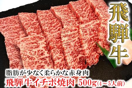 【年内順次発送】菊の井 飛騨牛イチボ焼肉 500g（4～5人前）赤身 牛肉  ブランド牛 国産 焼き肉 年内配送 年内発送 年内に届く 年内お届け【70-8n】【冷凍】