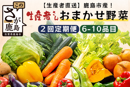 【生産者直送】鹿島市産　生産者おまかせ野菜２回定期便（夏５月～７月、秋９～１１月）　B-739