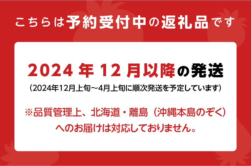 特選あまおう　約400g　12月から発送