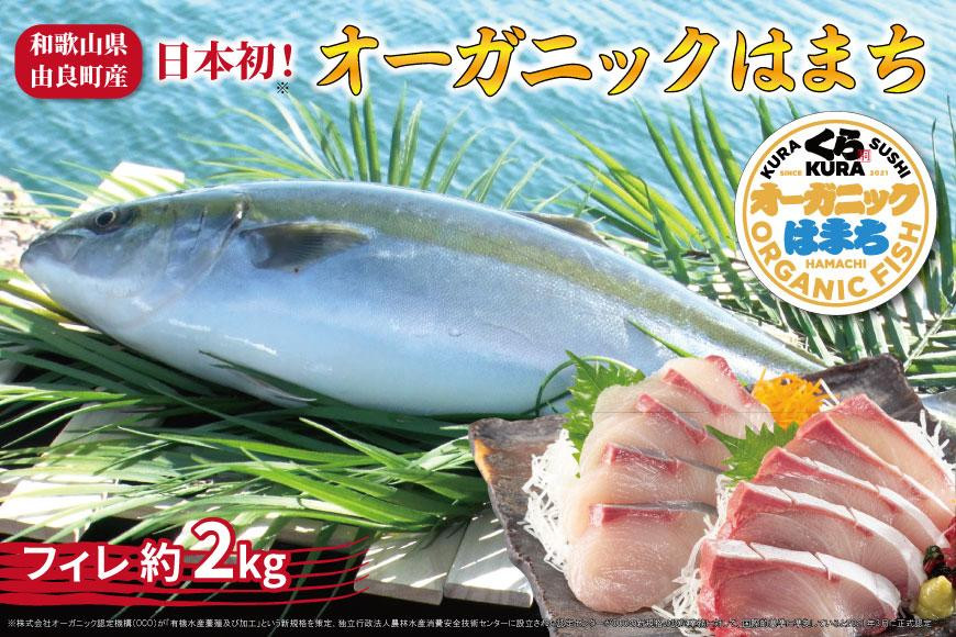 
            期間限定 オーガニック はまち フィレ 約 2kg くら寿司 オリジナルブランド
          