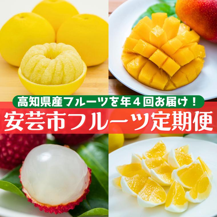 【ふるさと納税】安芸市フルーツ定期便【5.7万円コース/年4回発送】