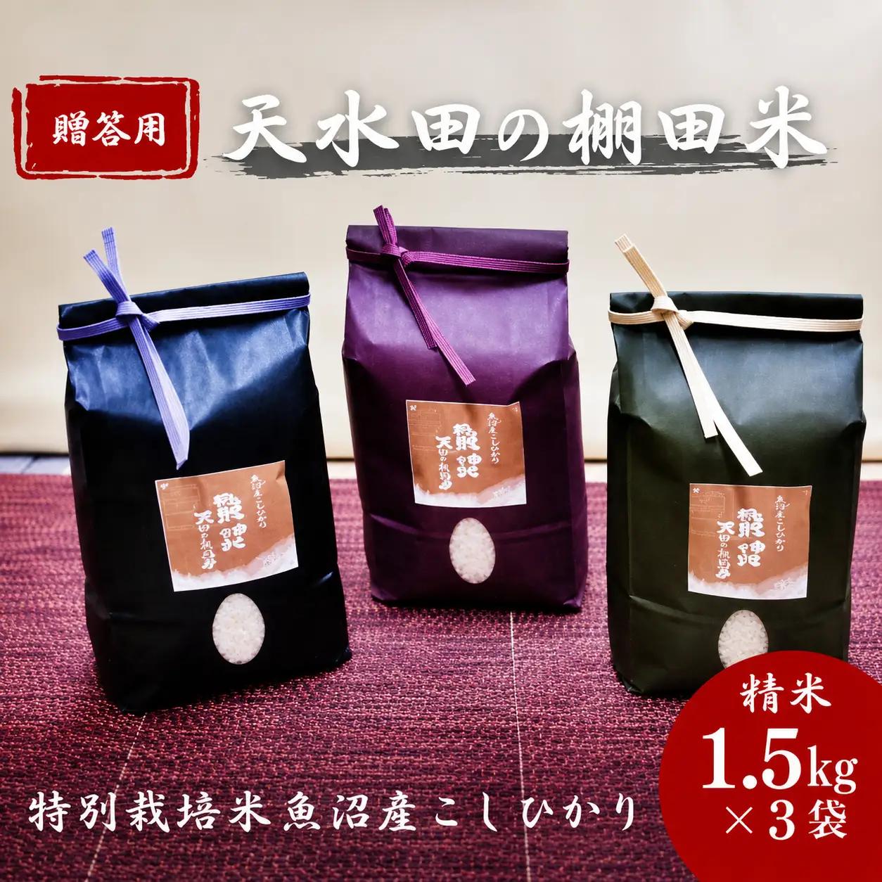 【特別栽培米 贈答用】棚田で育てた魚沼コシヒカリ1.5kg×3袋