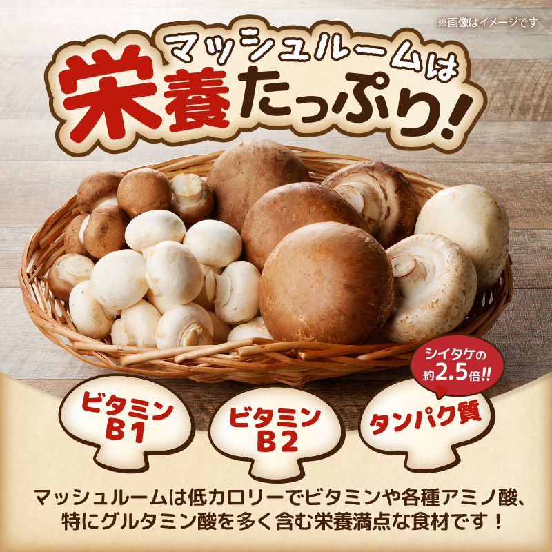 長谷川農産 マッシュルーム3種セット 産地直送 [sf002-353]