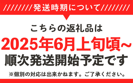 12-24茨城県産大玉すいか2玉セット（約5～7kg/玉）【2024年6月上旬～7月上旬ごろ発送予定】