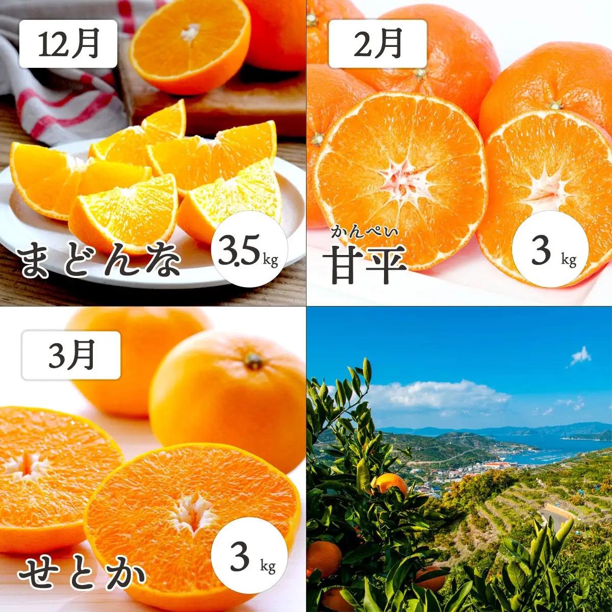 【発送月固定定期便】愛媛の高級柑橘3品種!まどんな・甘平・せとか【訳あり】【H25-199】全3回【4066399】 YWTAP140