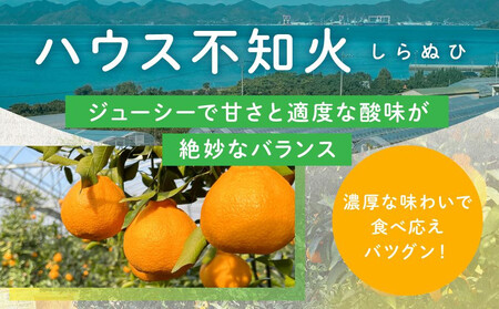 越冬完熟しらぬひ 2kg 2026年3月上旬～発送予定【しらぬい しらぬい しらぬい しらぬい しらぬい】　