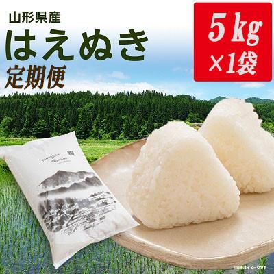 ふるさと納税 新庄市 【2ヵ月毎定期便】山形県産はえぬき 精米 5kg(5kg×1袋)全3回