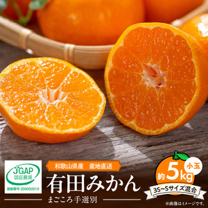 ZE6044n_和歌山県産 有田みかん 5kg 小玉(3S～Sサイズ混合)【まごころ手選別】