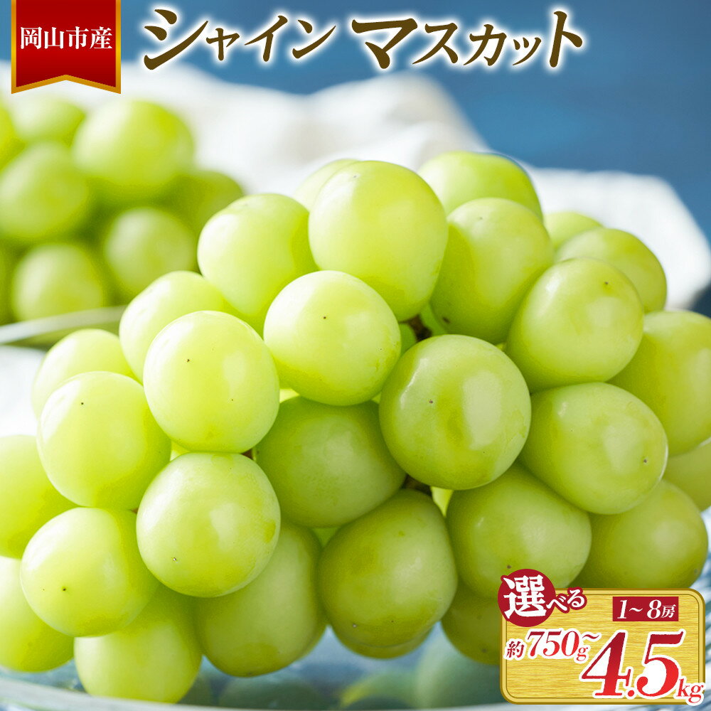 【ふるさと納税】【内容量が選べる】ぶどう 2026年 シャインマスカット 1房（約750g）から6～7房（約4.5kg） | フルーツ 果物 くだもの 食品 人気 おすすめ 送料無料