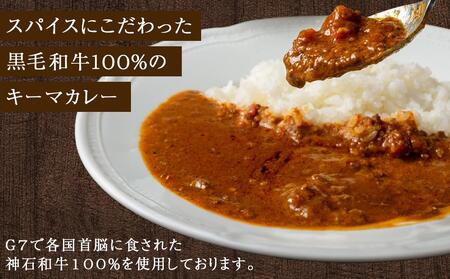 （0808新規）秘密の黒毛和牛キーマカレー10袋【冷凍 カレー レストラン キーマ 辛口 食品 加工食品 人気 おすすめ 広島県 福山市】