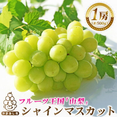 【ふるさと納税】2026年発送　シャインマスカット1房(約500g)【配送不可地域：離島・沖縄県】【1666979】