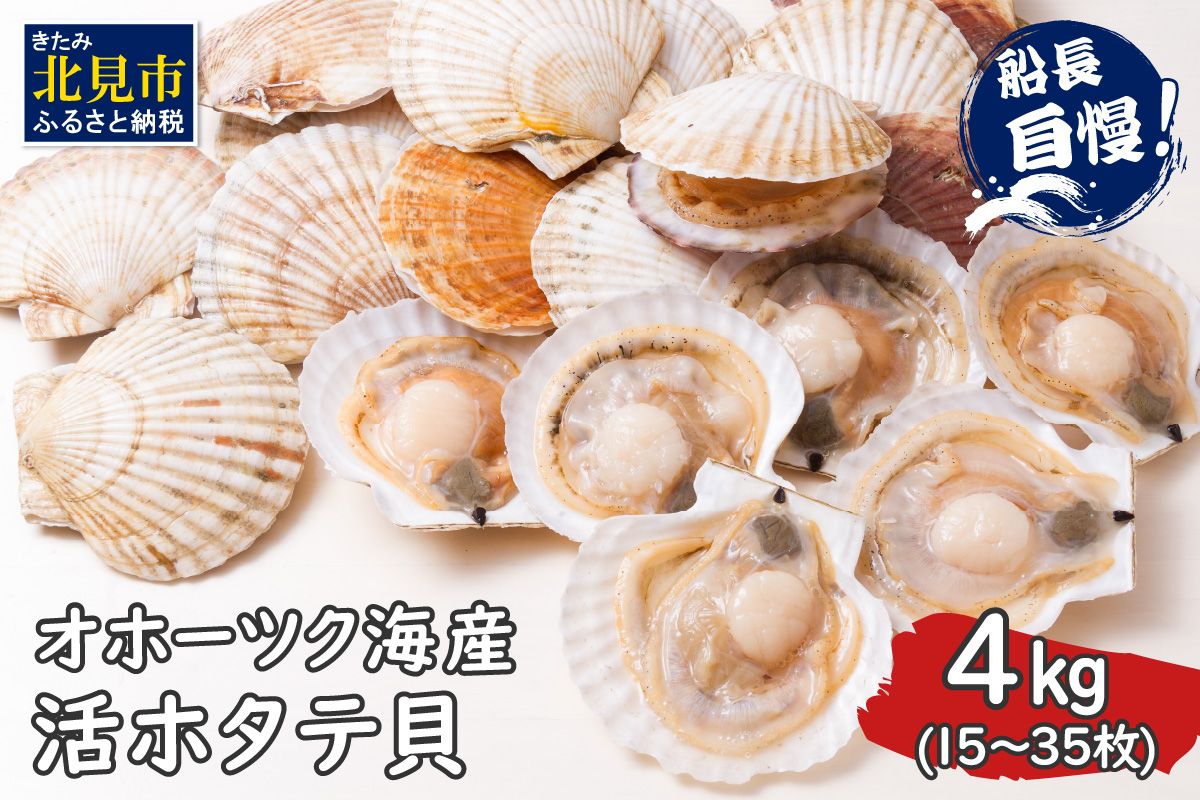とれたて新鮮！オホーツク海産 活ホタテ貝 4kg 15～35枚 ( 魚介 海鮮 貝 帆立 ほたて ホタテ 4キロ カレー シチュー 肉厚 )【114-0048】