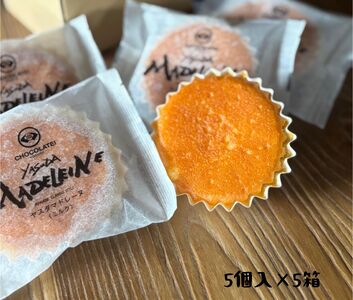 しょこら亭 ヤスダマドレーヌ（ミルク）5個入×5セット お菓子 菓子 スイーツ 贈答 1Z32029