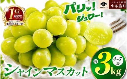先行受付 シャインマスカット 約3kg 4～7房 ［小布施屋］ フルーツ 果物 くだもの ぶどう 葡萄 ブドウ クール便配送 長野県産 産地直送 先行予約 2026年発送 令和8年産 2026年9月下旬頃～11月中旬にかけて順次発送 [C-5]