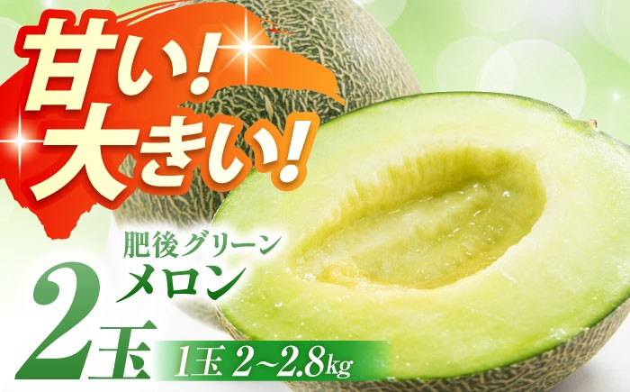 
                  【先行予約】肥後グリーンメロン 2玉（1玉 約2.0～2.8㎏）【鹿本農業協同組合】 [ZAG014]
                