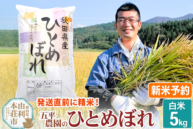 《新米予約》《12月上旬～下旬発送予定》【白米】ひとめぼれ 令和7年産 秋田県産 五平農園のひとめぼれ 5kg