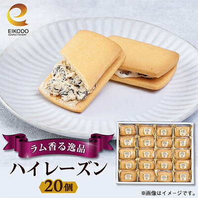 【ふるさと納税】東京都東村山市　栄光堂製菓　ハイレーズン　20個入【1613195】