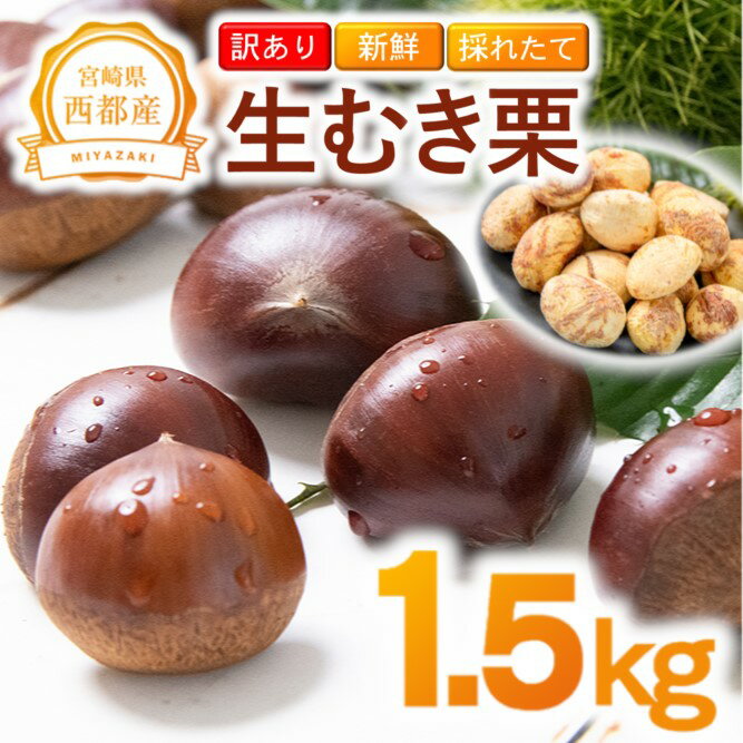 【ふるさと納税】＜訳あり＞新鮮朝採れ「むき栗」1.5kg 国産 宮崎県 西都市 くり＜1.5-221＞