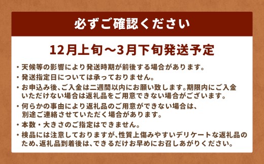 鹿児島県産 洗い【太い】 ごぼう 約3kg 【規格外・訳あり品】【2026年12月上旬-3月下旬発送予定】 ZS-9100