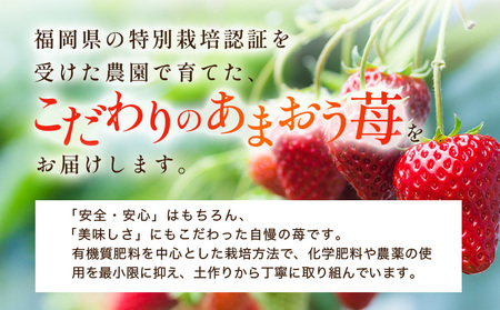 福岡県産 特別栽培 あまおう L~2Lサイズ（少し小ぶりサイズ）約1140g（約285g×4パック）【2〜4月発送】　農園直送 アフター保証 先行予約 福岡産 送料無料 ケーキ ギフト お祝い 限定 