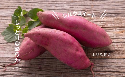 7-010-026　さつまいも（シルクスイート）5kg【マルゼン佐藤果樹園】