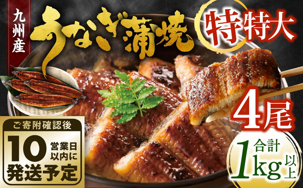 九州産 うなぎ蒲焼 特特大4尾 (1尾あたり250～266g)