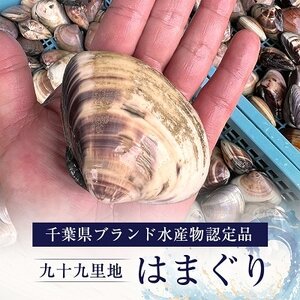 某TV番組で全国一位に!九十九里産　大粒活はまぐり　約1.5kg【配送不可地域：離島】【1215229】