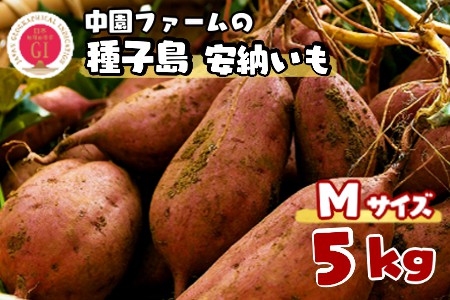 R8年産 種子島 中園ファーム 安納いも ( 生芋 ) M サイズ 5kg　NFN057【300pt】