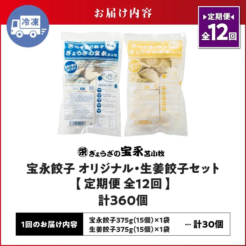 【定期便・全12回 毎月】手包み餃子 ぎょうざの宝永 生姜餃子30個セット（宝永餃子15個入×1袋・生姜餃子15個入×1袋） T004-T05-01-05 定期便 定期 惣菜 総菜 餃子