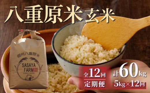 令和7年新米予約【12回定期便】八重原米5kg（5kg×1袋）玄米 ※2025年10月以降順次発送｜笹屋農園
