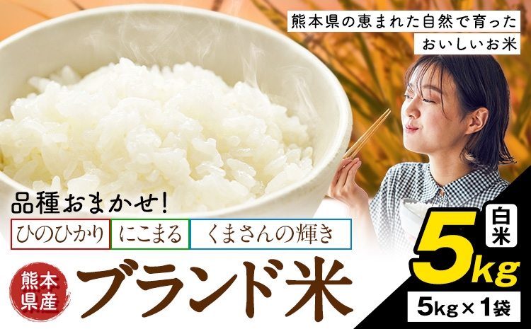 
                  米  南関町 単一原料米 (ひのひかりorにこまるorくまさんの輝き) 白米 5kg《7-14日以内に出荷予定(土日祝除く)》熊本県産 国産 ひのひかり 白米 精米 こめ コメ 5キロ
                