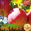 【ふるさと納税】 葉とらずりんご 特選サンふじ 約3kg 【四戸農園】 減農薬 有機肥料 青森りんご リンゴ 林檎 アップル あおもり 青森 青森県 南部町 果物 くだもの フルーツ F21U-260