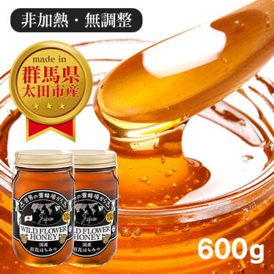 ふるさと納税 太田市 国産 おおたはちみつ 300g×2個セット