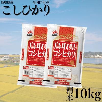 ふるさと納税 湯梨浜町 鳥取県産こしひかり◇精米10kg◇令和7年産(44M.)