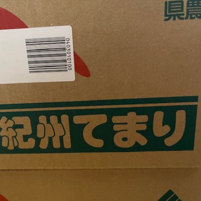 富有柿の新品種「紀州てまり」約7.5kg(22玉～32玉おまかせ)【上富田町】