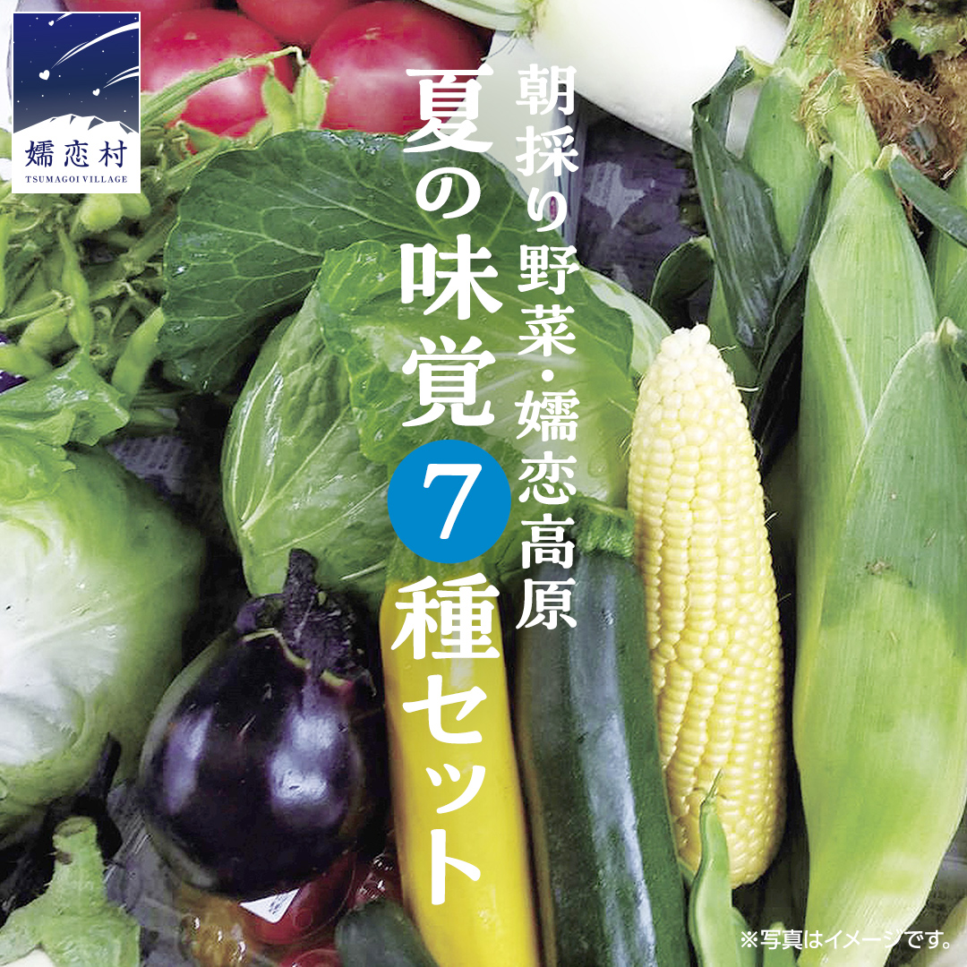 朝採り野菜 嬬恋高原 夏の味覚7種セット 高原野菜セット 産地直送 きゃべつ 嬬恋村産キャベツ 羽生田売店 期間限定 先行予約 人気 朝採り お取り寄せ 関東 群馬 [AL008tu]