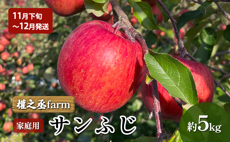 【11月下旬～12月発送】權之丞farm サンふじ 家庭用 約5kg【弘前市産・青森りんご】