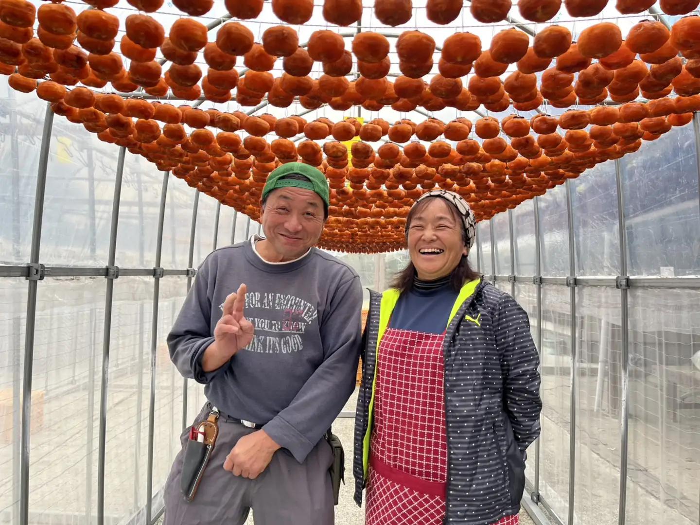 たまねぎ 5kg もみじ 三好市 【 野菜 玉ねぎ 】