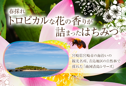 【最速便】【数量・期間限定】宮崎産非加熱ハチミツ(南国青島シリーズ)2～3種 ブォンミエーレ春のハチミツ160g×3本セット 蜂蜜 国産 非加熱