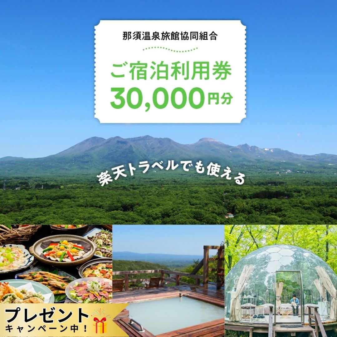 栃木県 那須温泉旅館協同組合 ご宿泊利用券 30,000円分