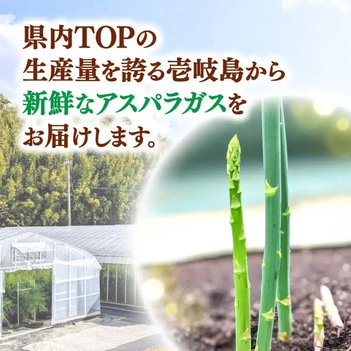【お中元】【アスパラガス専門農家が作る！】壱岐産アスパラガス1kg(2Lサイズ)  ≪壱岐市≫【きたじま農園】 [JGI002]