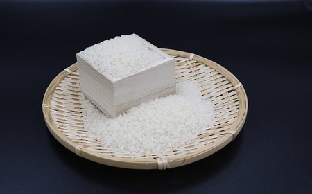 【定期便】【令和7年産】嶺南ファームの嶺岡米「コシヒカリ」5kg×3回 [0050-0101]