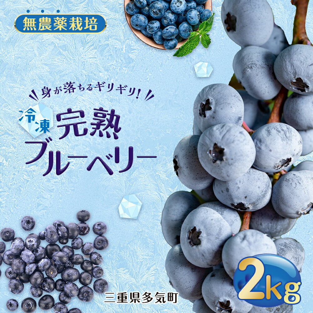 【ふるさと納税】　無農薬栽培 冷凍完熟ブルーベリー2kg 果物 くだもの フルーツ 完熟 冷凍 ブルーベリー ジャム ピューレー スムージー シロップ 国産 農薬無使用 おいしい ビタミン 食物繊維 ミネラル 三重県 多気町 FR-02