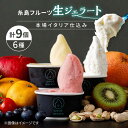 【ふるさと納税】＼本場イタリア仕込み／糸島 フルーツ 生ジェラート 9個セット 糸島市 / COCO GELATO[AON001] 15000円