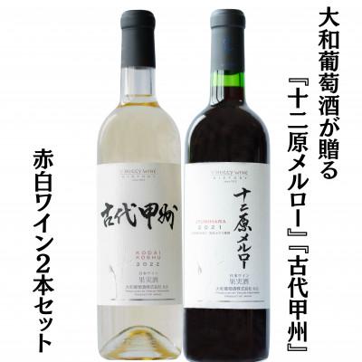 ふるさと納税 甲州市 大和葡萄酒が贈る『十二原メルロー』『古代甲州』赤白ワイン2本セット　B16651