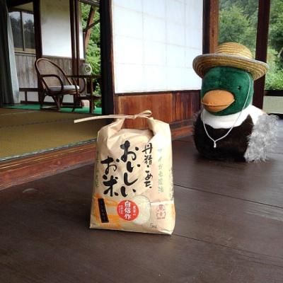 ふるさと納税 飯南町 カモしゃん米　精米5kg |  | 02